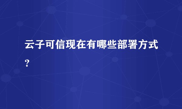 云子可信现在有哪些部署方式？