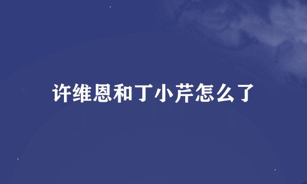 许维恩和丁小芹怎么了