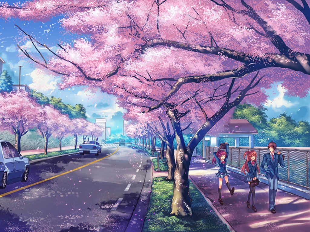 樱花树下的图片，要清晰的