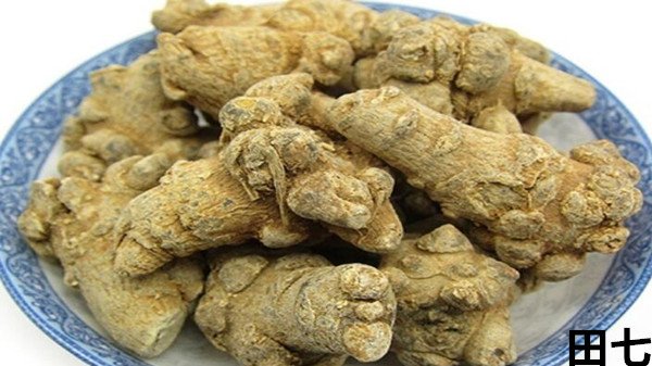 藤三七与田七有何区别