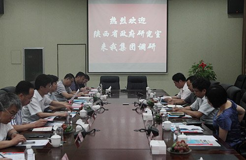 陕西煤业化工集团有限责任公司的企业概况