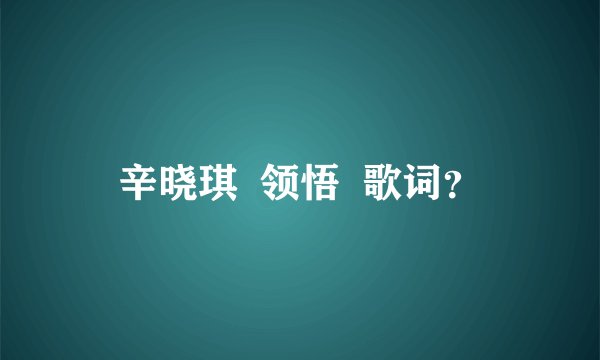 辛晓琪  领悟  歌词？