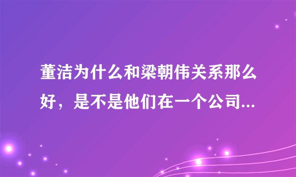 董洁为什么和梁朝伟关系那么好，是不是他们在一个公司，是哪个公司啊