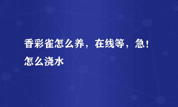 香彩雀怎么养，在线等，急！怎么浇水