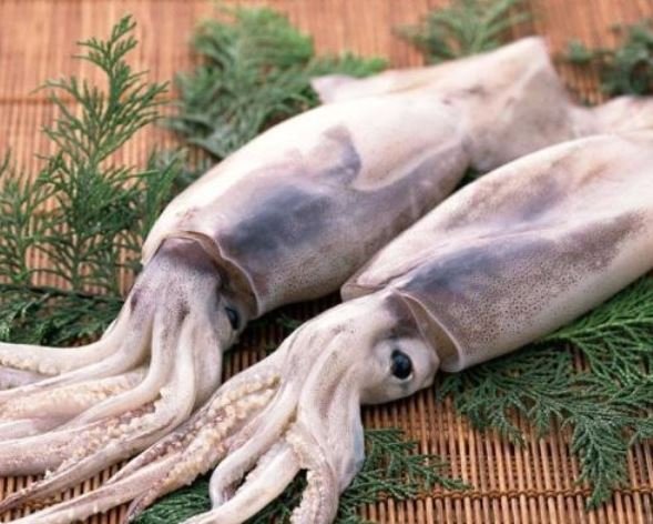 鱿鱼、目鱼什么区别?