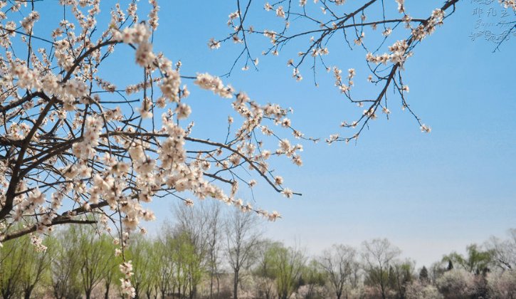 代表春天的歌曲有哪些？