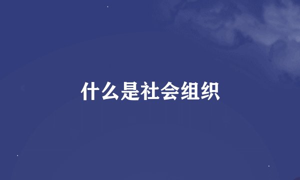什么是社会组织