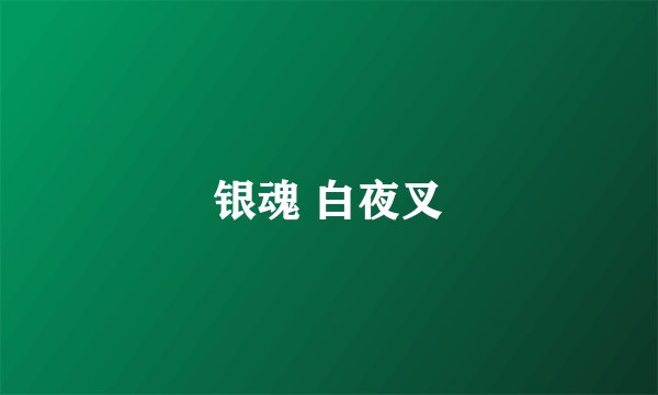 银魂 白夜叉