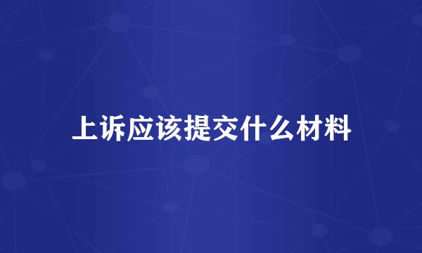 上诉应该提交什么材料