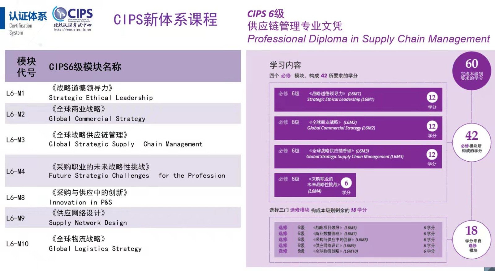 CIPS是什么？
