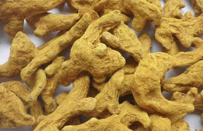 片姜黄和姜黄片有何区别？