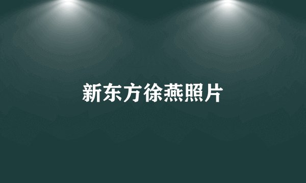 新东方徐燕照片