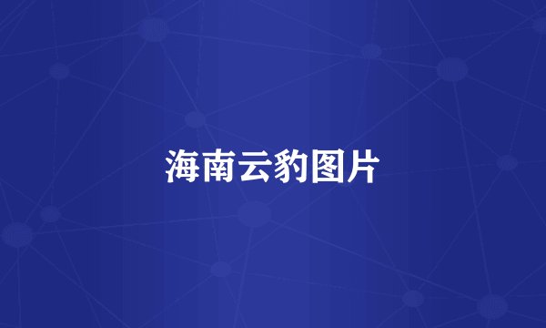 海南云豹图片