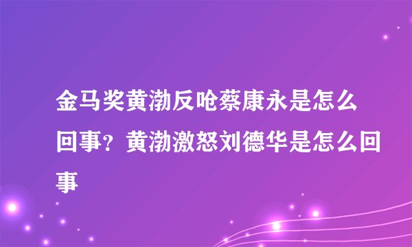 金马奖黄渤反呛蔡康永是怎么回事？黄渤激怒刘德华是怎么回事