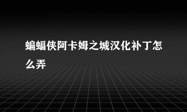 蝙蝠侠阿卡姆之城汉化补丁怎么弄