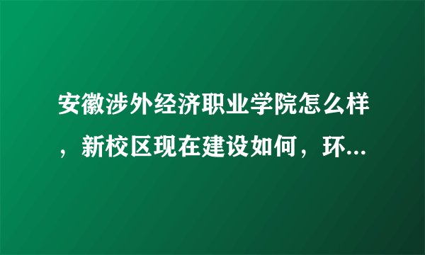 安徽涉外经济职业学院怎么样，新校区现在建设如何，环境设施怎么样，宿舍可不可以上网，有独立卫生间吗？