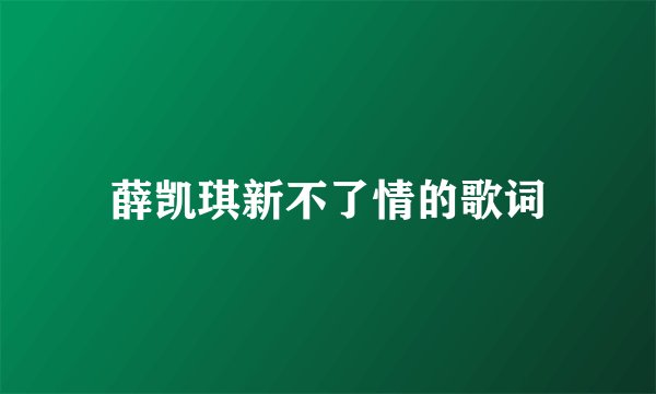 薛凯琪新不了情的歌词