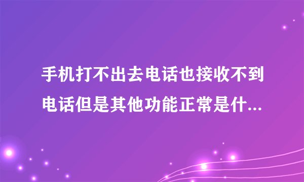 手机打不出去电话也接收不到电话但是其他功能正常是什么原因啊