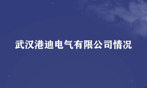 武汉港迪电气有限公司情况