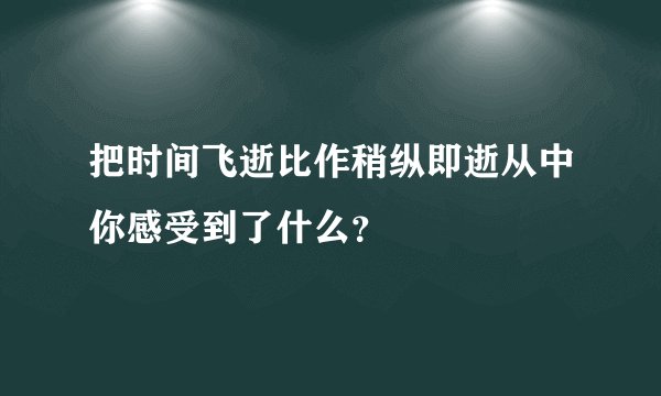 把时间飞逝比作稍纵即逝从中你感受到了什么？