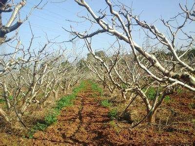 自给自足的自然经济是什么样的，自给自足是什么意思啊