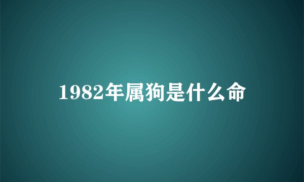 1982年属狗是什么命