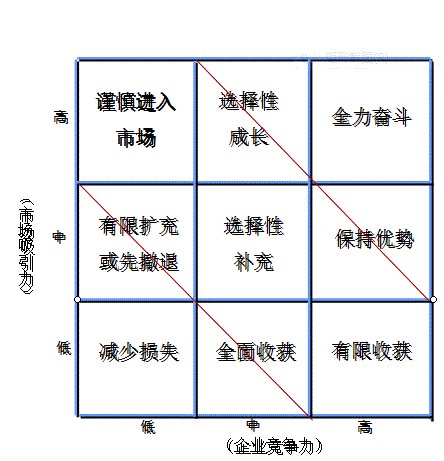 什么是GE矩阵的案例