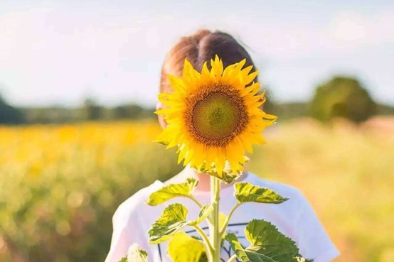 “不以物喜，不以己悲。”出自哪篇古文？