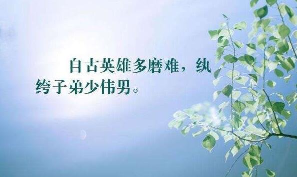 杜甫写过：“自古英雄多磨难，从来纨绔少伟男。”这句话吗