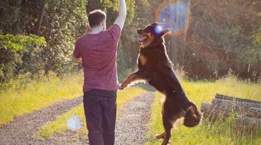 压力太大会带来哪些危害？