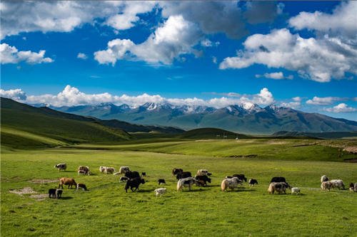 地处阿富汗的“瓦罕走廊”，它的战略价值究竟有多大?