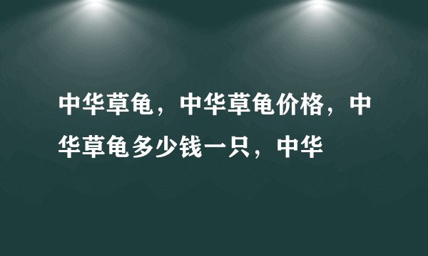 中华草龟，中华草龟价格，中华草龟多少钱一只，中华