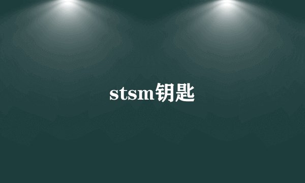 stsm钥匙