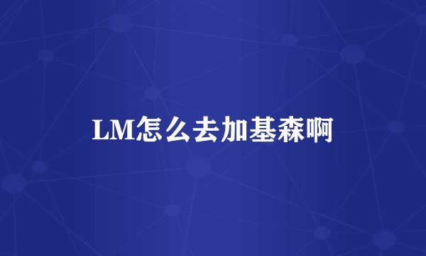 LM怎么去加基森啊