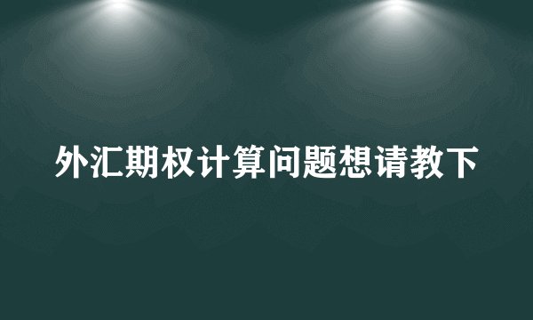外汇期权计算问题想请教下