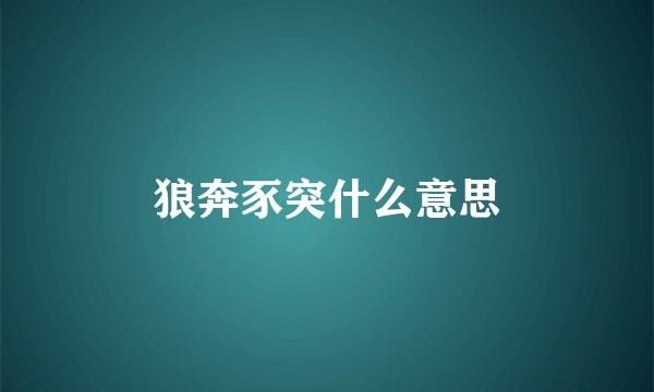 狼奔豕突什么意思