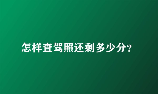 怎样查驾照还剩多少分？