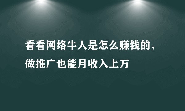 看看网络牛人是怎么赚钱的，做推广也能月收入上万
