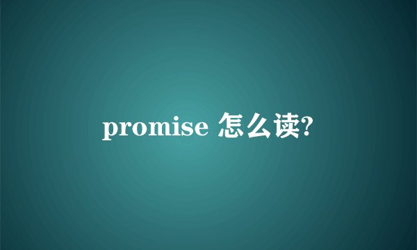 promise 怎么读?