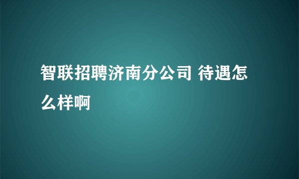 智联招聘济南分公司 待遇怎么样啊