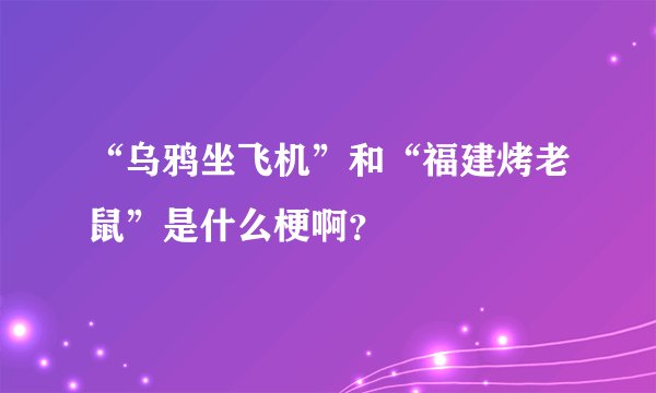 “乌鸦坐飞机”和“福建烤老鼠”是什么梗啊？