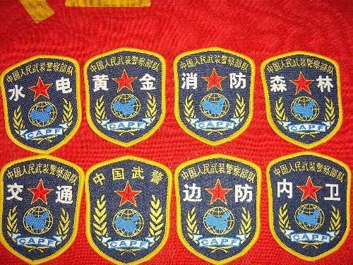 有一种武警臂章是一个地球和pap字母的是什么臂章