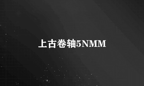 上古卷轴5NMM