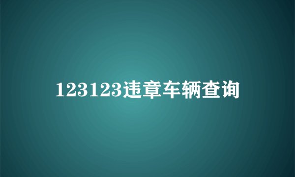 123123违章车辆查询
