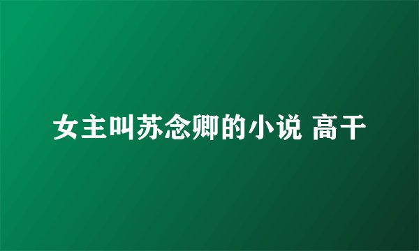 女主叫苏念卿的小说 高干