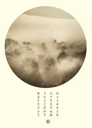 “一个人，自生自灭”这句话什么意思啊？