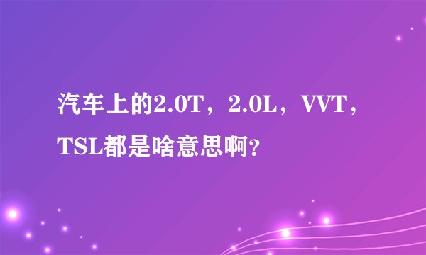 汽车上的2.0T，2.0L，VVT，TSL都是啥意思啊？