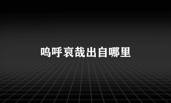 呜呼哀哉出自哪里