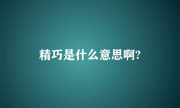 精巧是什么意思啊?