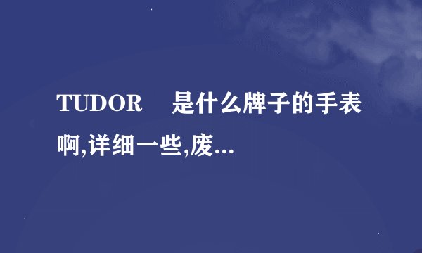 TUDOR    是什么牌子的手表啊,详细一些,废话不要说,别的牌子我没兴趣!